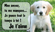 je t'aime mon amour
